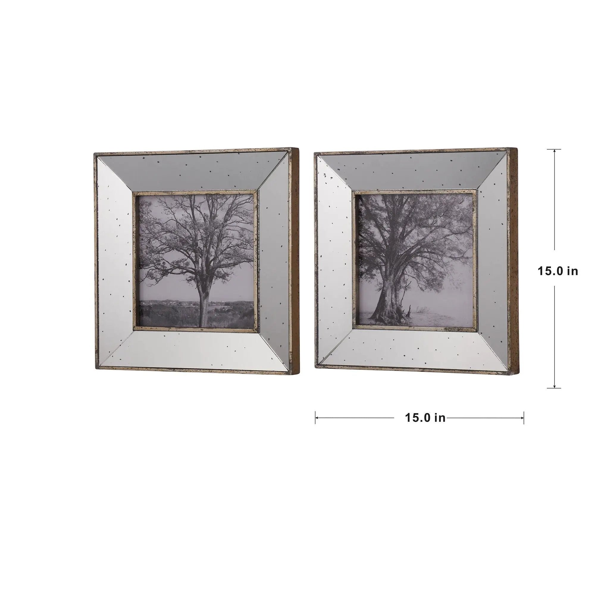 Vintage Reflective Picture Frames (Set of 2) - Silver by Unique Piece Furniture