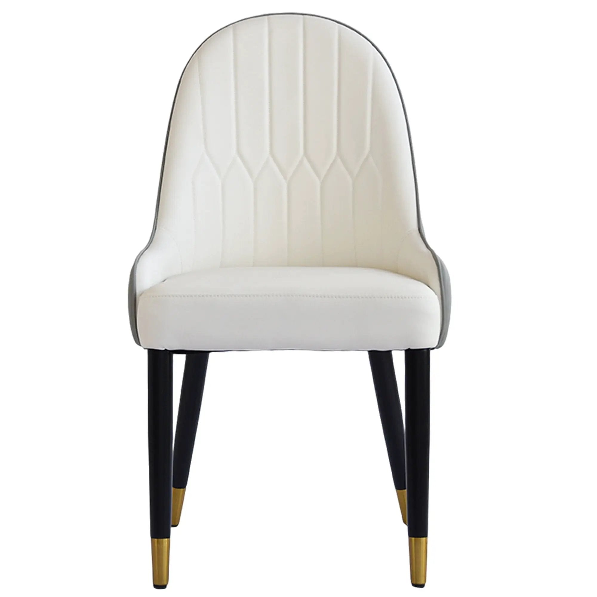 Modern Sponge-Filled Dining Chair, Solid Wood Metal Legs, Suitable For Restaurants, Living Rooms And Rooms (Set of 2) by HouseOfZazla