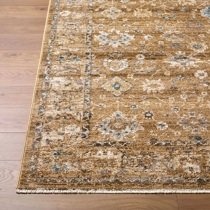 Humana Tan Traditional Area Rug by Boutique Rugs