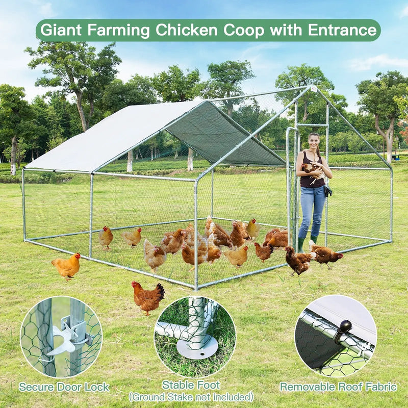 13 x 13 Feet Walk-in Chicken Coop with Waterproof Cover for Outdoor Backyard Farm by DirectDeals