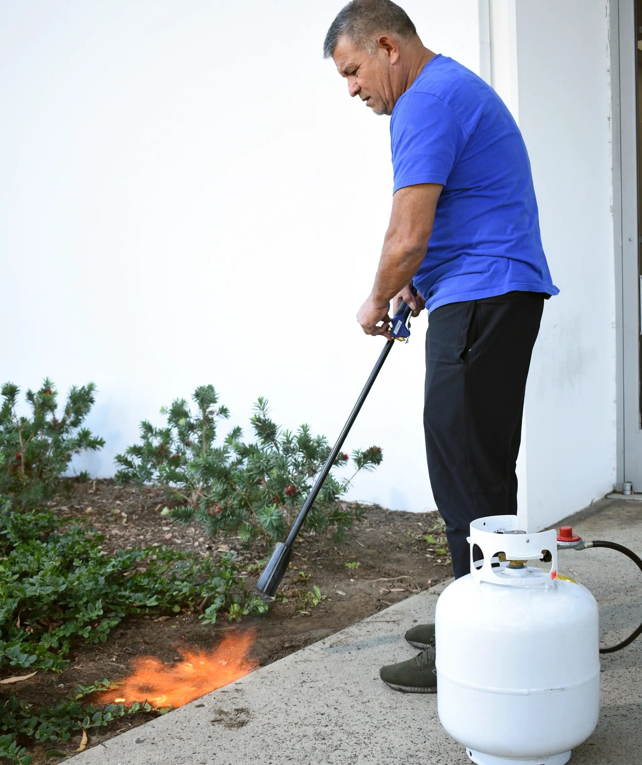 Flame King Heavy Duty 100,000 BTU Propane Torch Weed Burner by Flame King Products