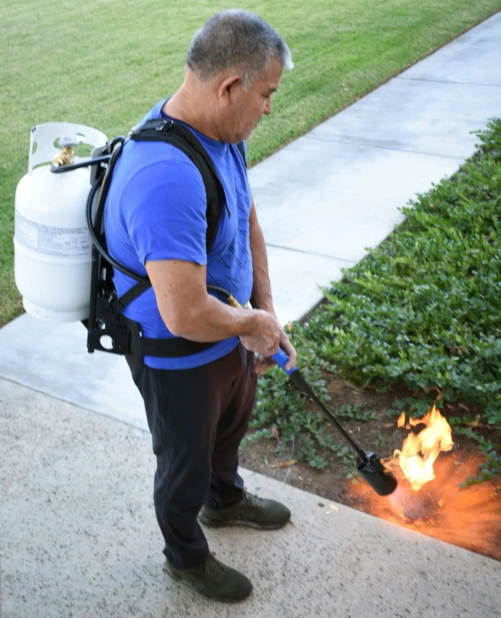 Flame King Metal Alice Frame Backpack Carrier for 10LB Propane Cylinder and Weed Torch by Flame King Products