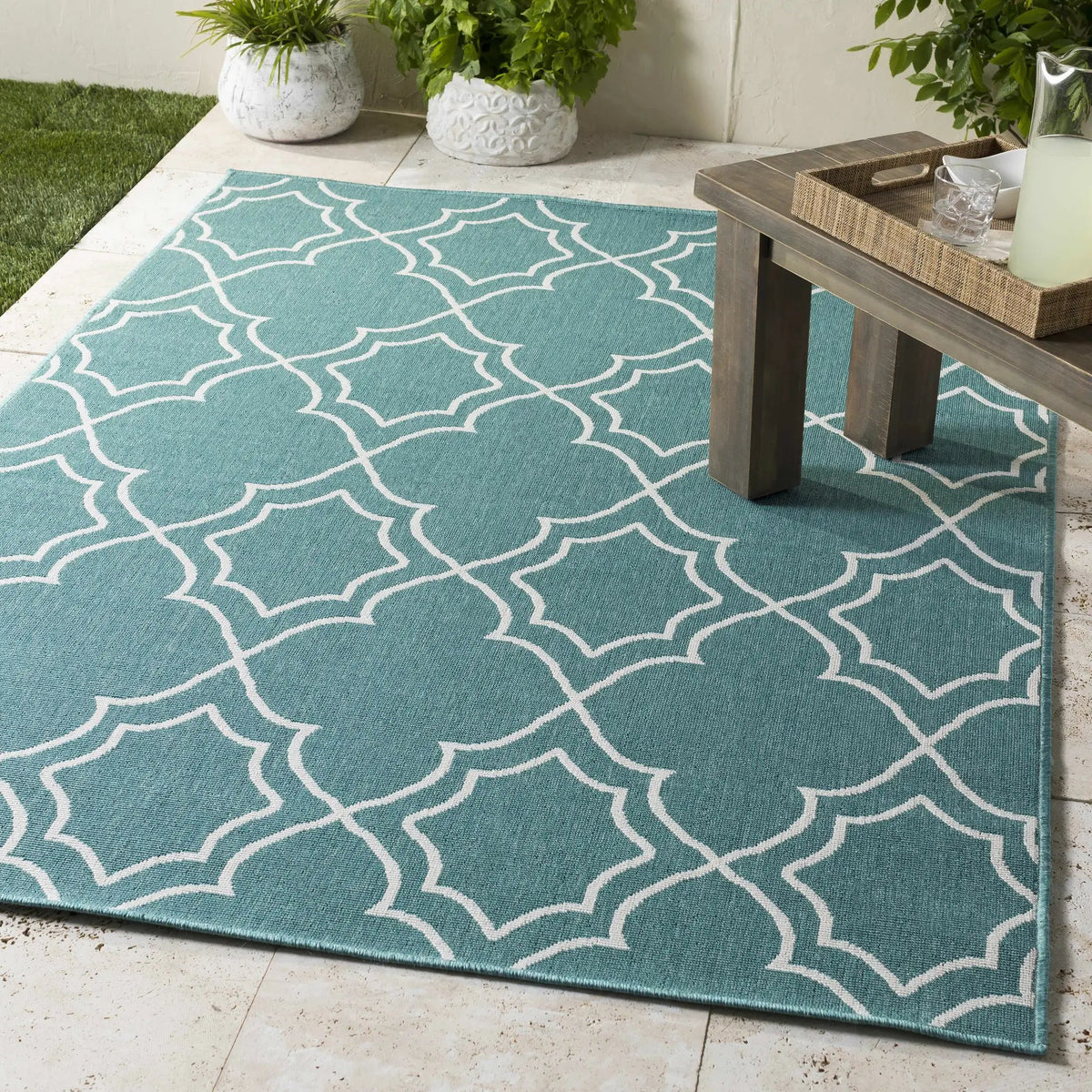 Folsom Outdoor Area Rug - Clearance, installed in a room