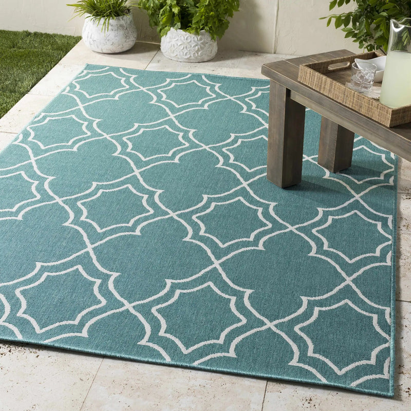 Folsom Outdoor Area Rug - Clearance by Boutique Rugs