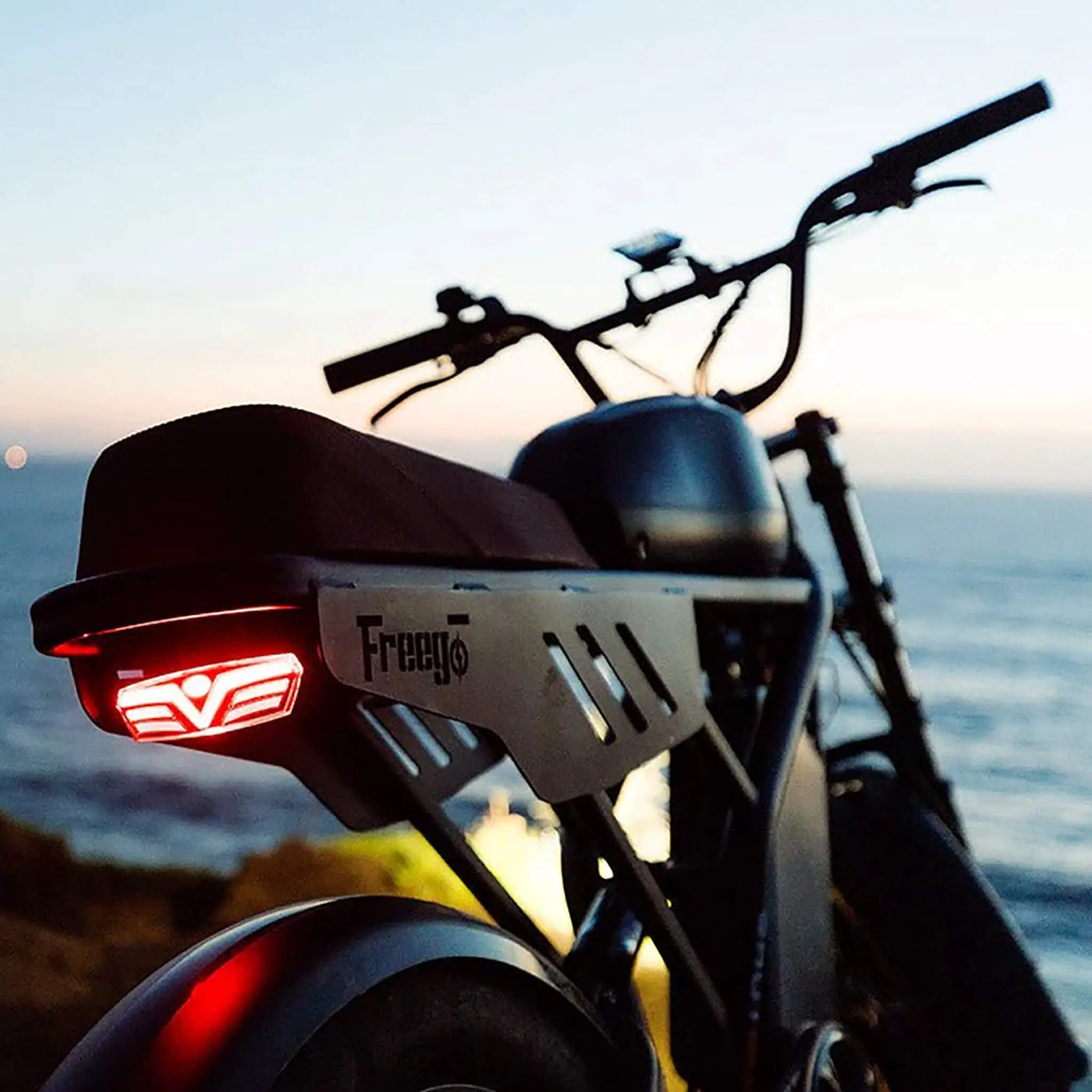 Freego Shotgun Flash F3 Pro Max Electric Dual Motor Bike, 1000W (SAK41583) by SAKSBY WHOLESALE