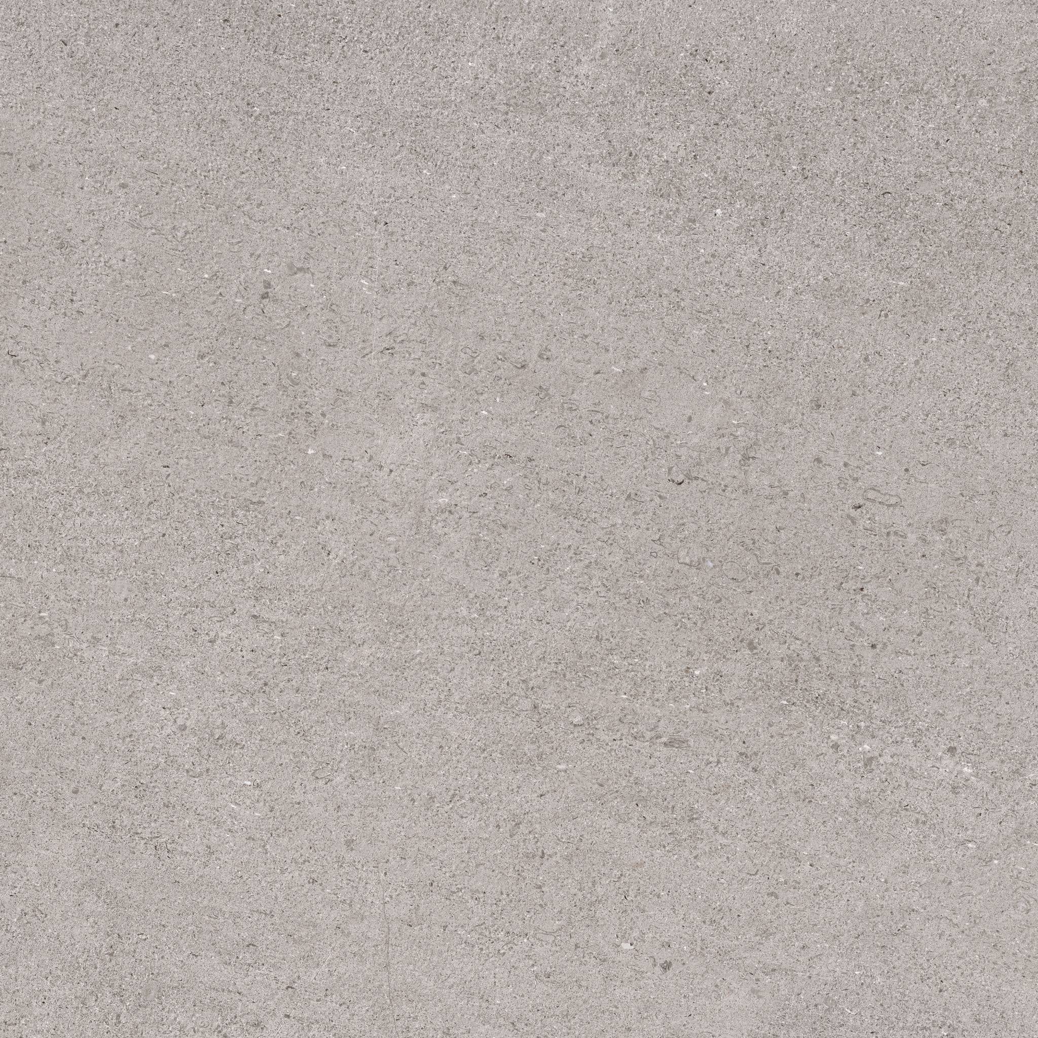 Frontier20 Absolute Riser Stone Look Porcelain Moldings 8x24 by landmarkceramics