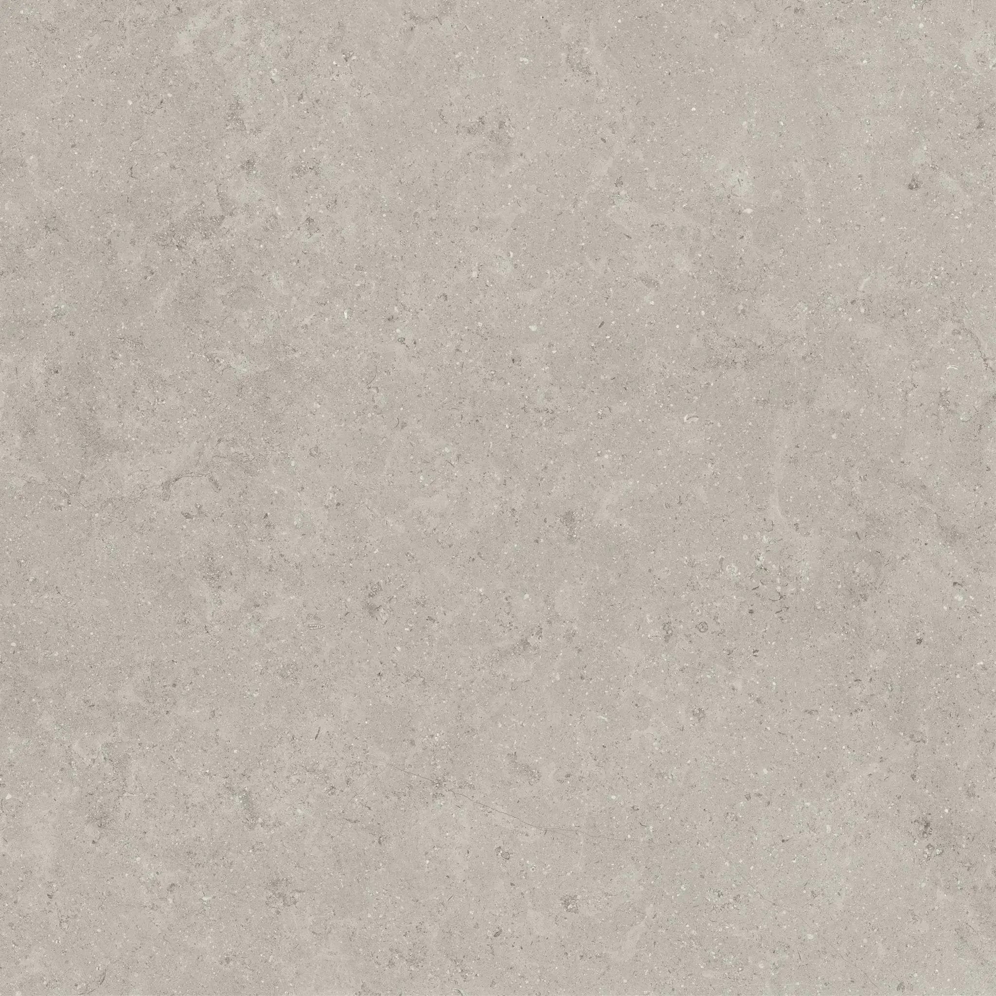 Frontier20 Ash Riser Limestone Look Porcelain Moldings 8x24 by landmarkceramics