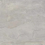 Frontier20 Bluestone Full Color Look Porcelain Pavers 24x24