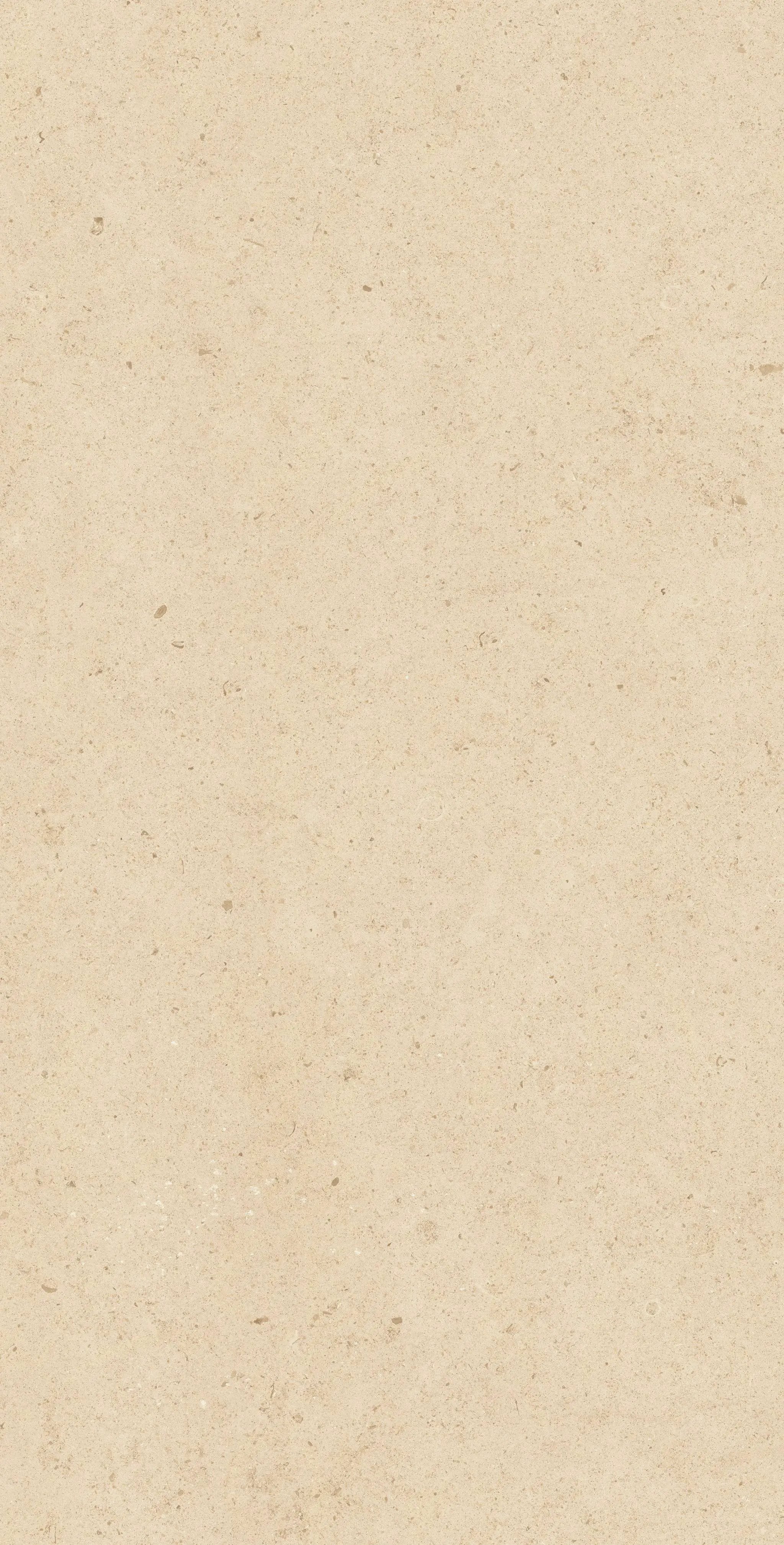 Frontier20 Dune Limestone Look Porcelain Pavers 24x48 by landmarkceramics