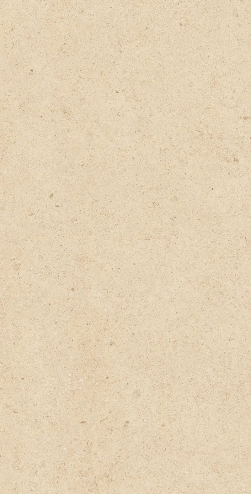 Frontier20 Dune Limestone Look Porcelain Pavers 24x48 by landmarkceramics