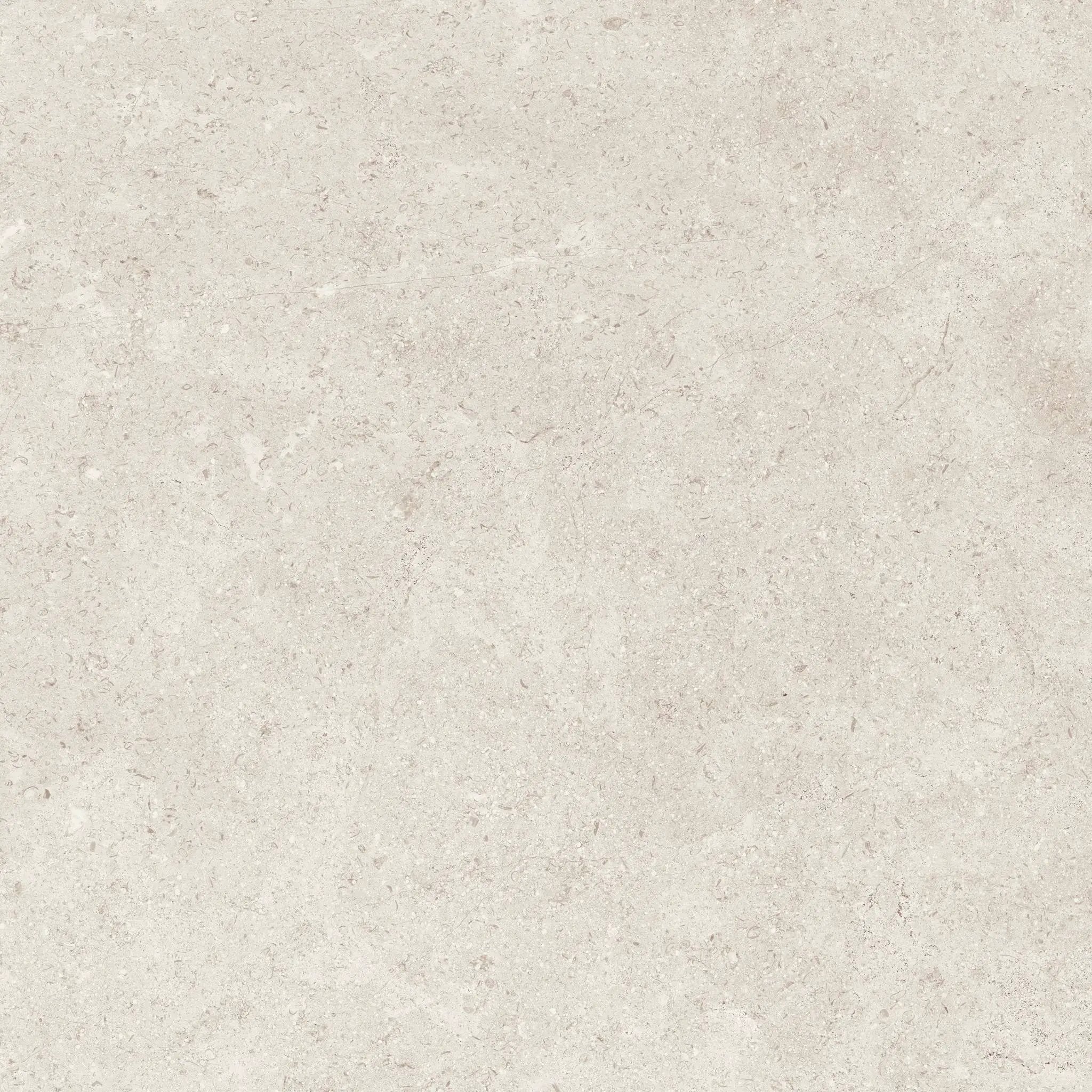 Frontier20 Frost Cover Limestone Look Porcelain Moldings 12x24 by landmarkceramics
