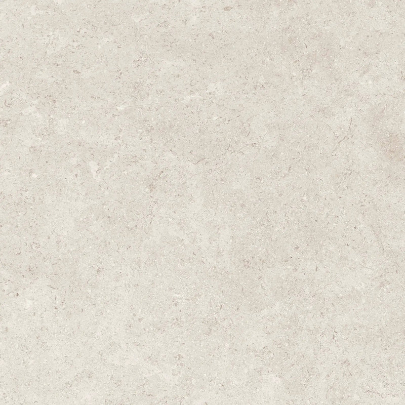 Frontier20 Frost Coping & Stair Tread Limestone Look Porcelain Moldings 12x24 by landmarkceramics