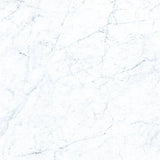 Frontier20 Michelangelo Extra White Marble Look Porcelain Pavers 24x24