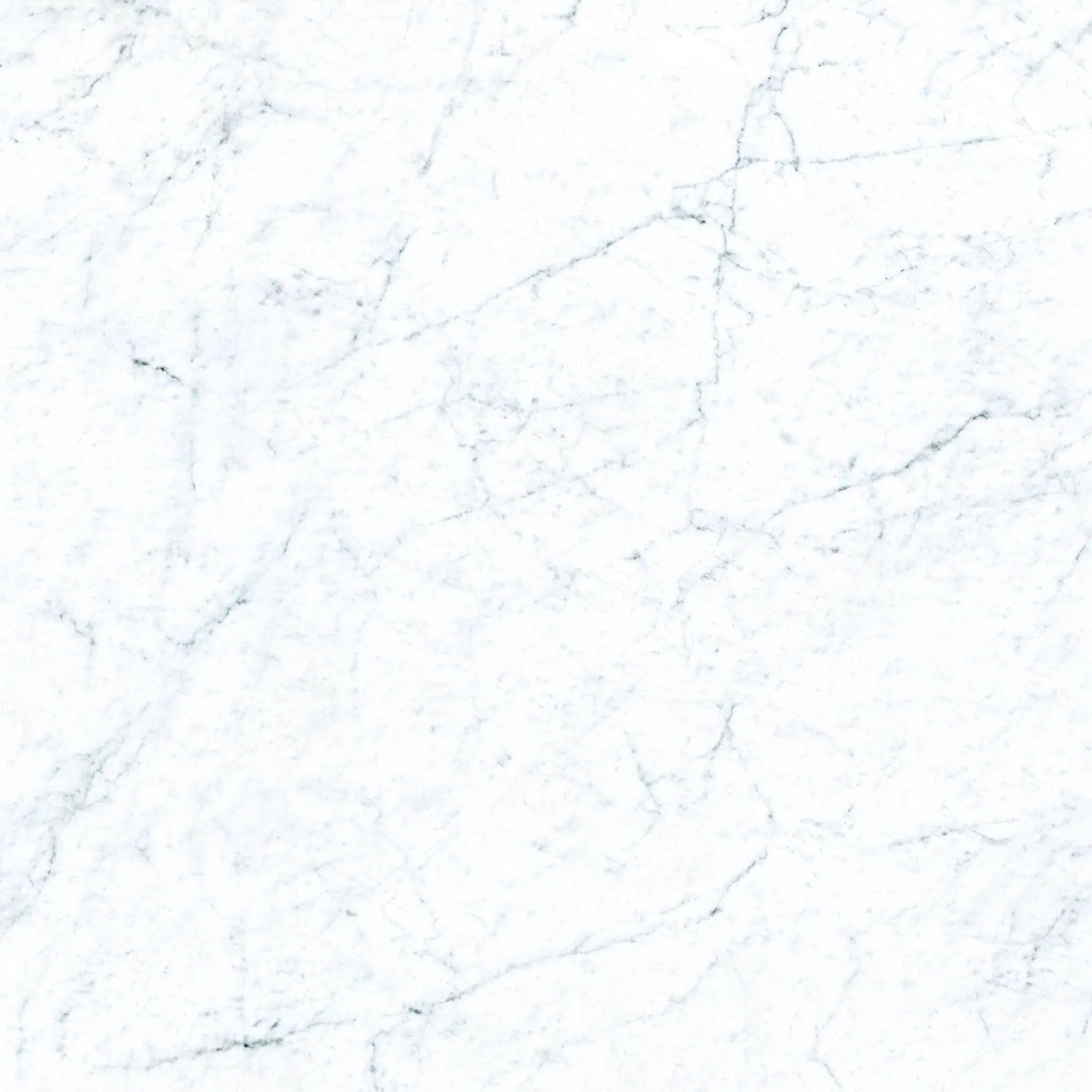 Frontier20 Michelangelo Extra White Marble Look Porcelain Pavers 24x24 by landmarkceramics