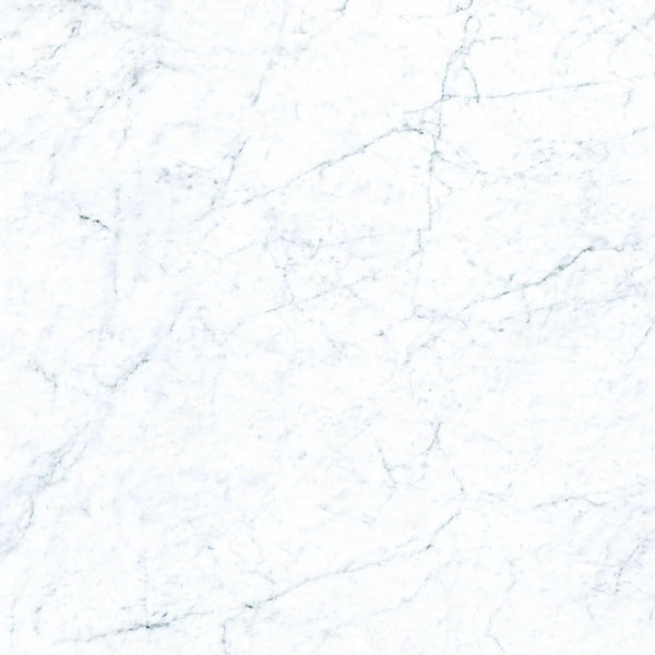 Frontier20 Michelangelo Extra White Marble Look Porcelain Pavers 24x24