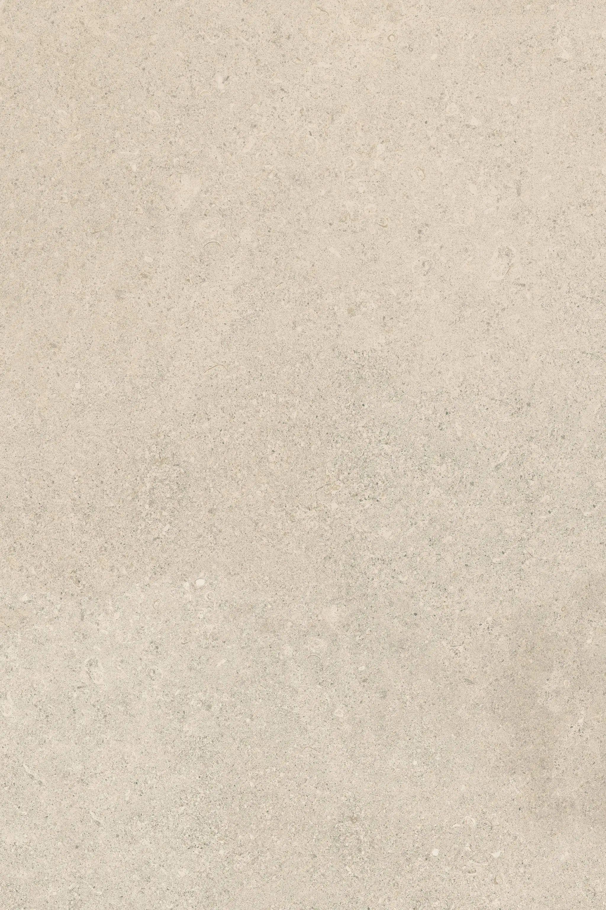 Frontier20 Sand Mix + Limestone Look Porcelain Pavers 24x48 by landmarkceramics