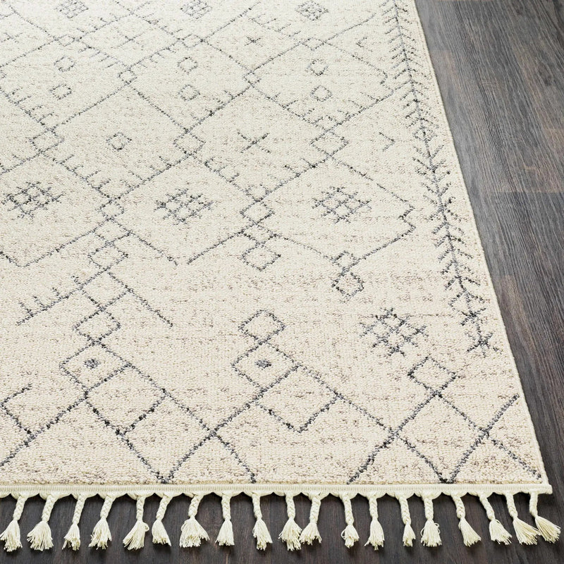 Furman Area Rug - Clearance by Boutique Rugs