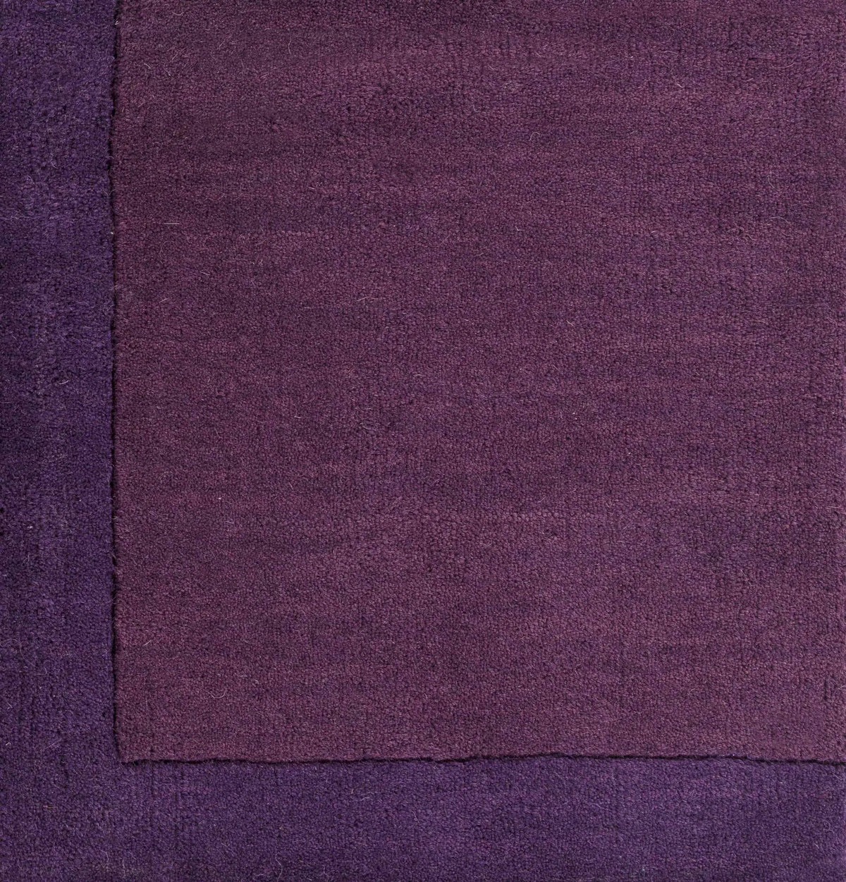 Bordered Solid Plum Purple Wool Rug, photo 10 of 14