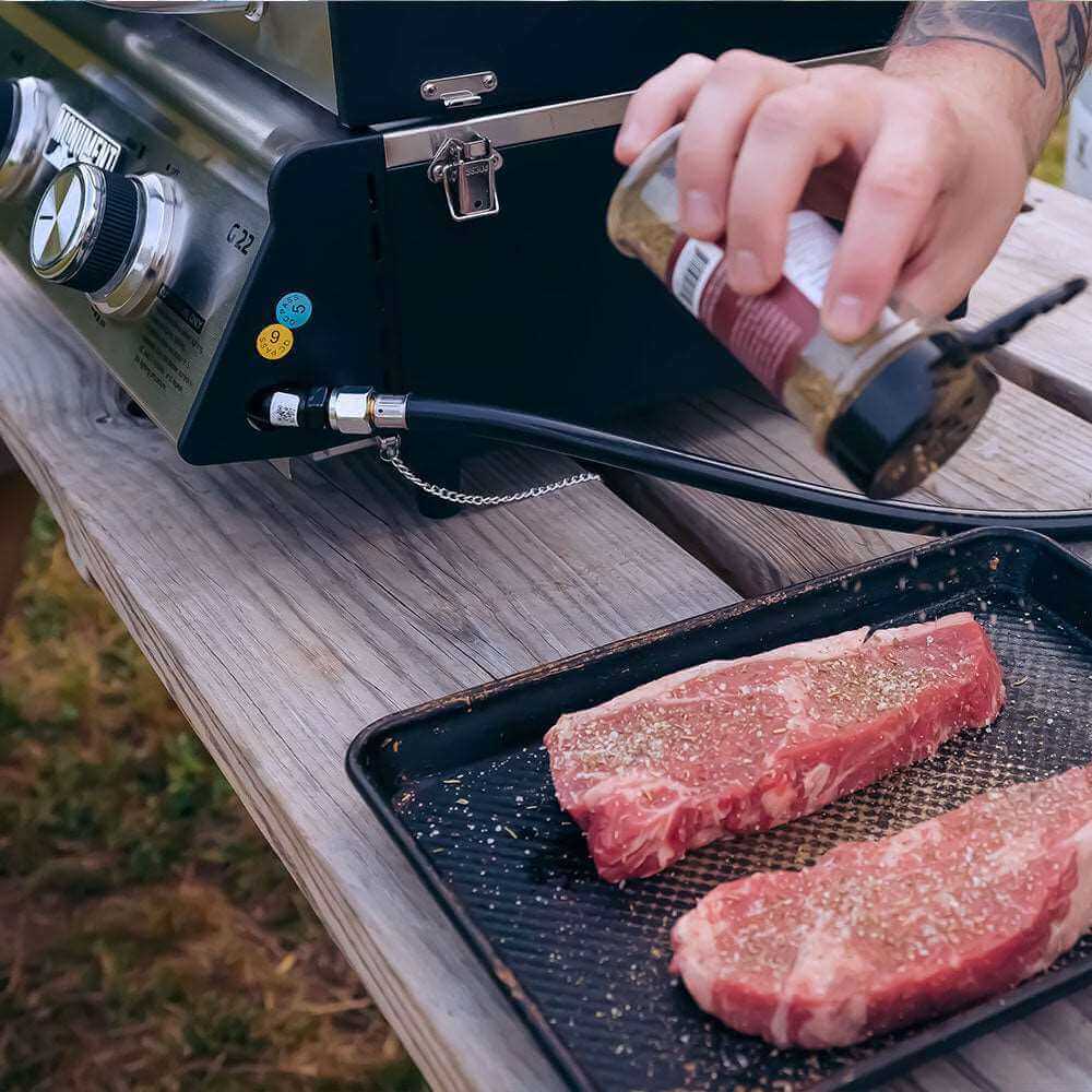 G22 | Stainless Tabletop Propane Gas Grill by Monument Grills