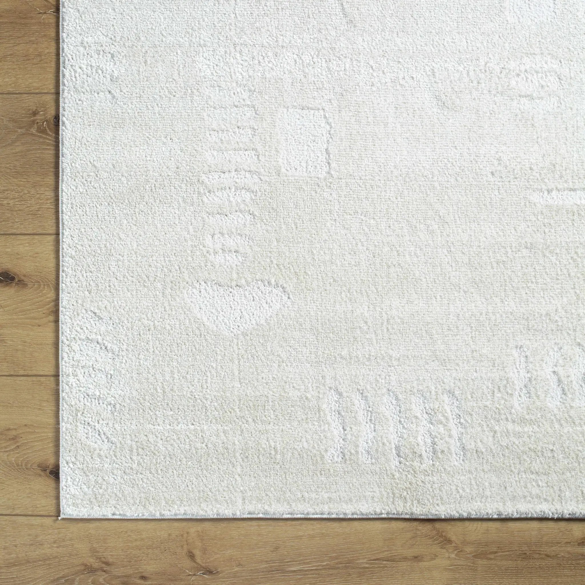 Winda Area Rug by Boutique Rugs