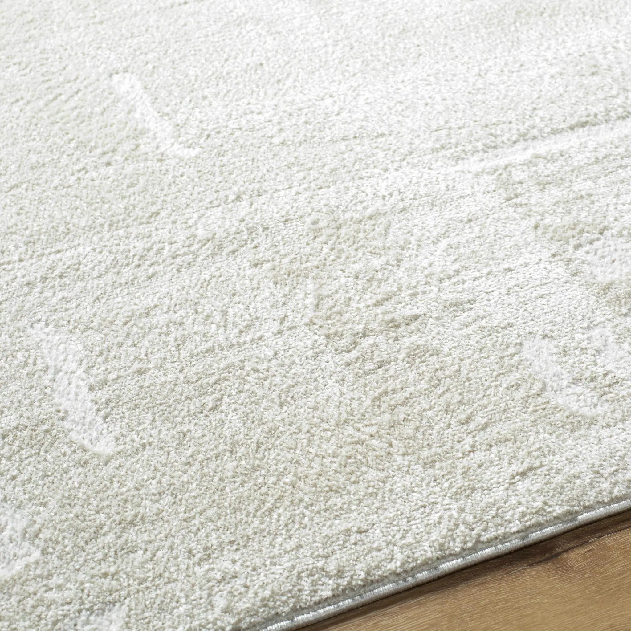 Winda Area Rug by Boutique Rugs