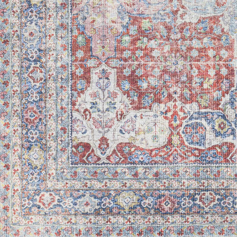 Rust Goma Vintage Area Rug - Clearance by Boutique Rugs
