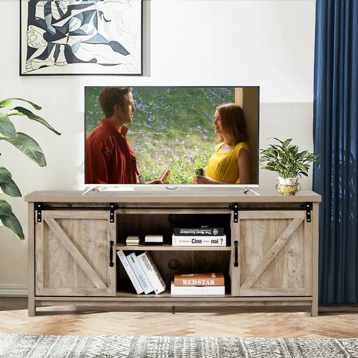 TV Stand Media Center Console Cabinet with Sliding Barn Door, photo 31 of 32