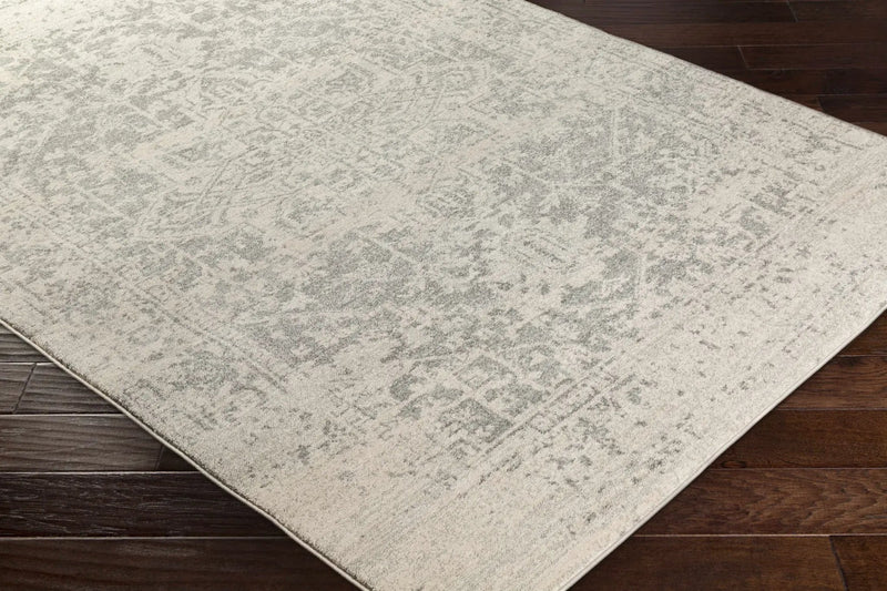 Rachel Area Rug by Hauteloom