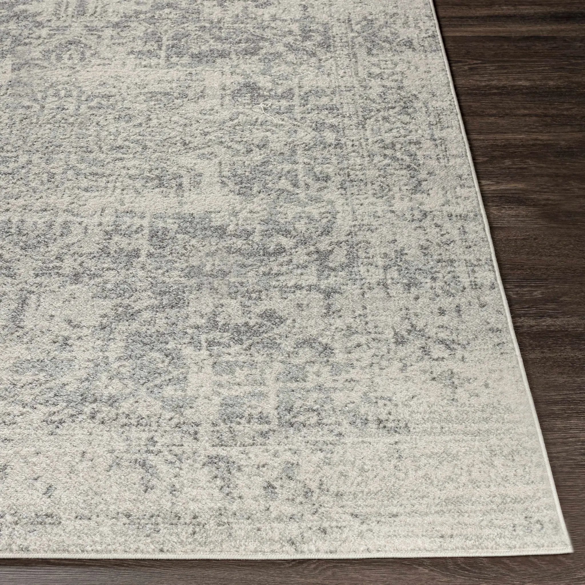 Rachel Area Rug by Hauteloom