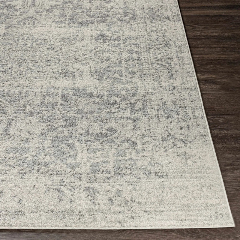Rachel Area Rug by Hauteloom