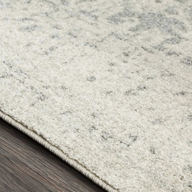 Rachel Area Rug by Hauteloom