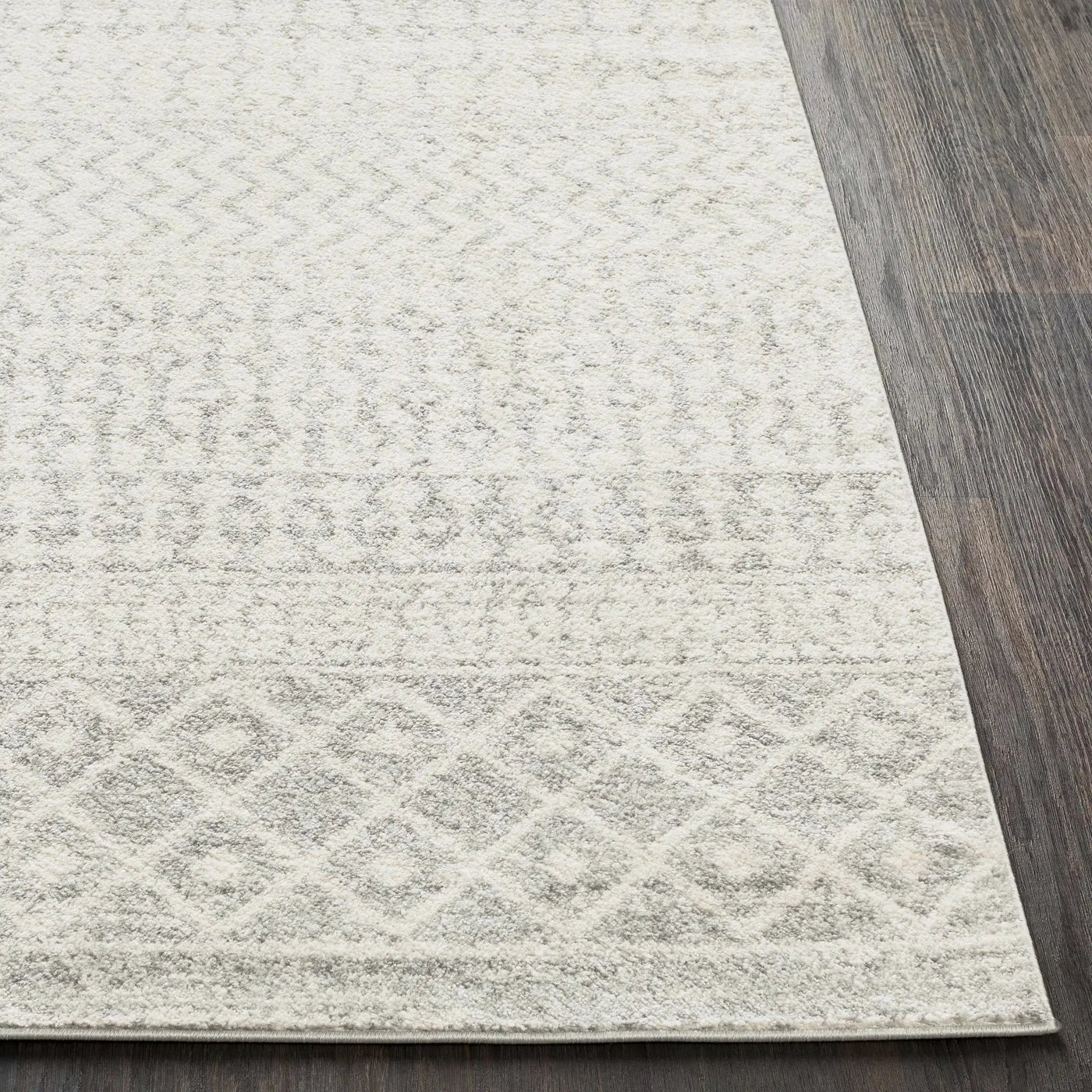 Constantin Gray Area Rug by Boutique Rugs