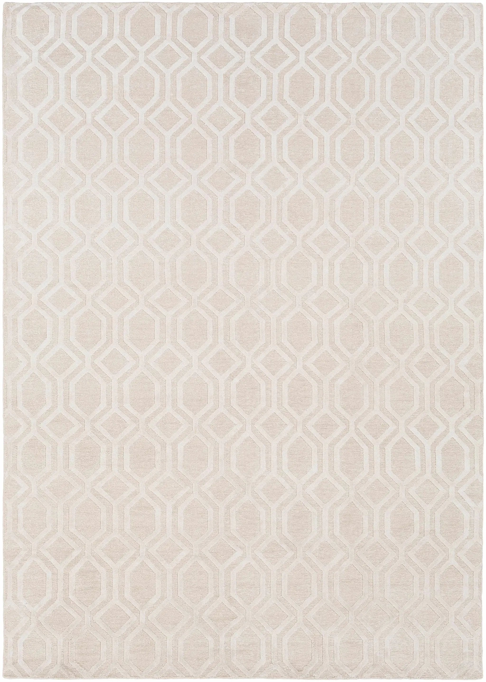 Haynes Area Rug - Clearance by Boutique Rugs