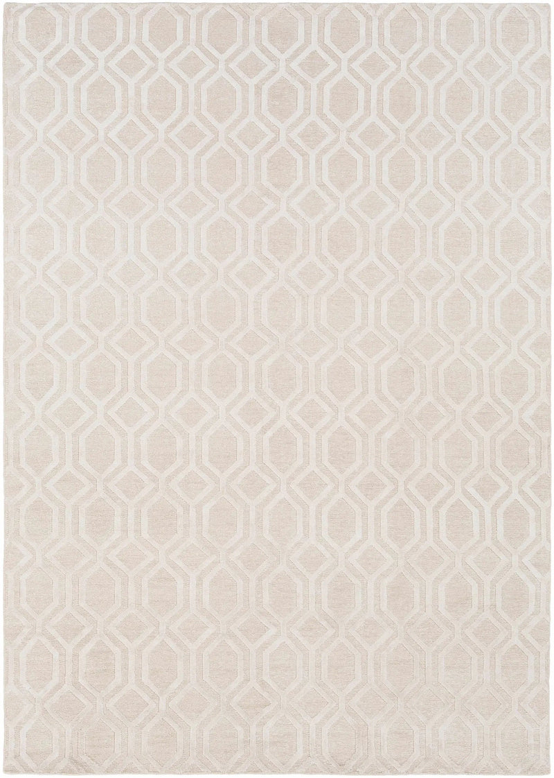 Haynes Area Rug - Clearance by Boutique Rugs