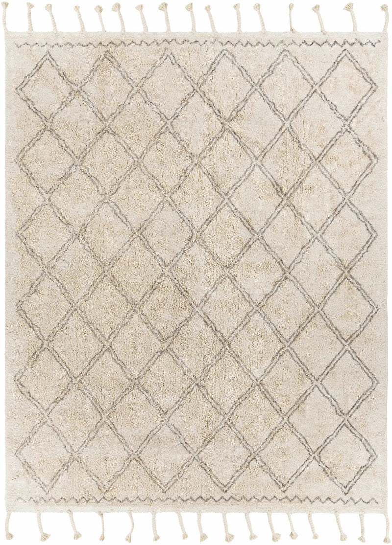 Harvester Area Carpet - Clearance by Boutique Rugs
