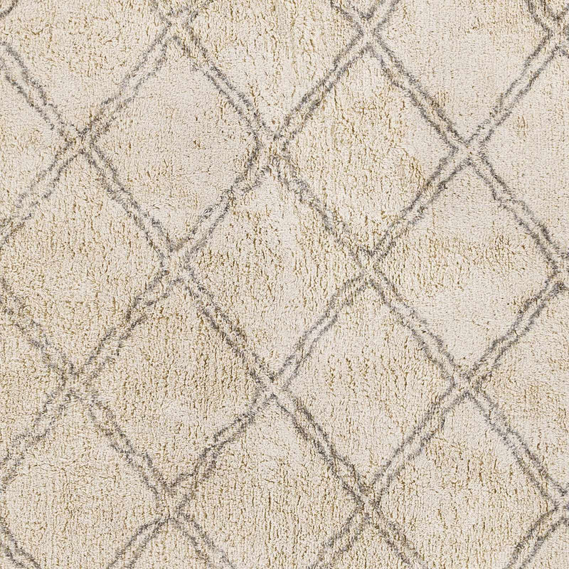 Harvester Area Carpet - Clearance by Boutique Rugs