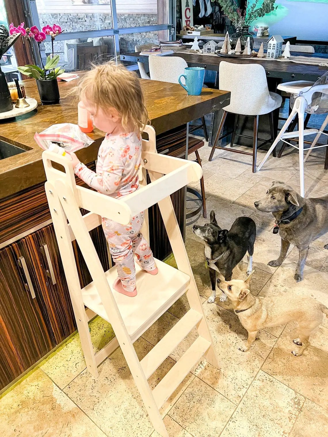 BLAZE- Collapsible Kitchen Stool by Bush Acres