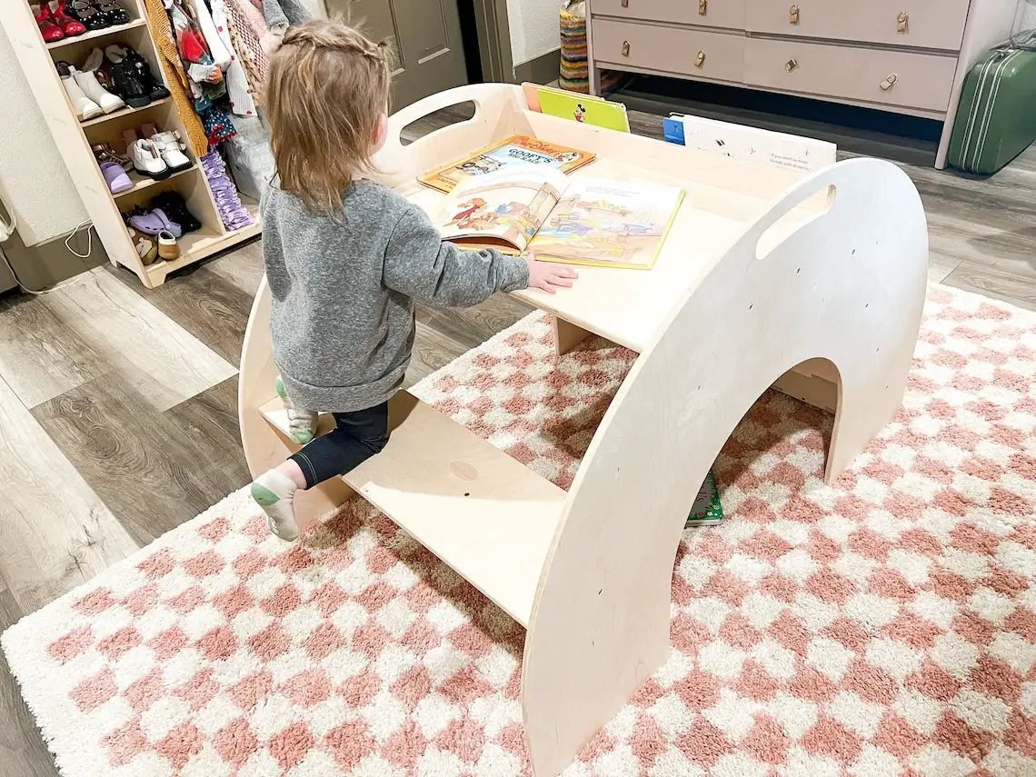 CREW- Bookshelf + Desk combo by Bush Acres