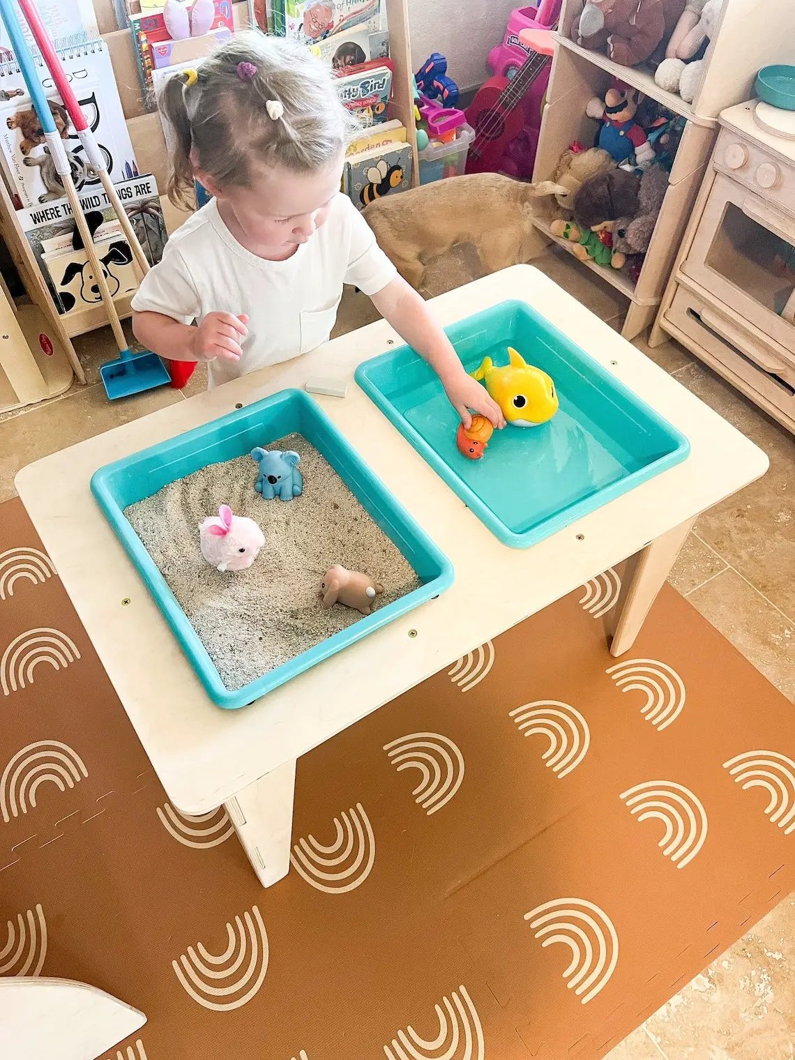MADDIE- Sensory Table by Bush Acres