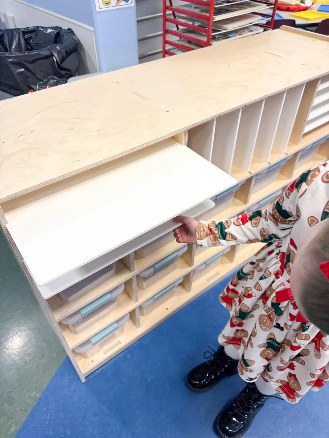 CHRISTIAN- Art Storage Shelf by Bush Acres