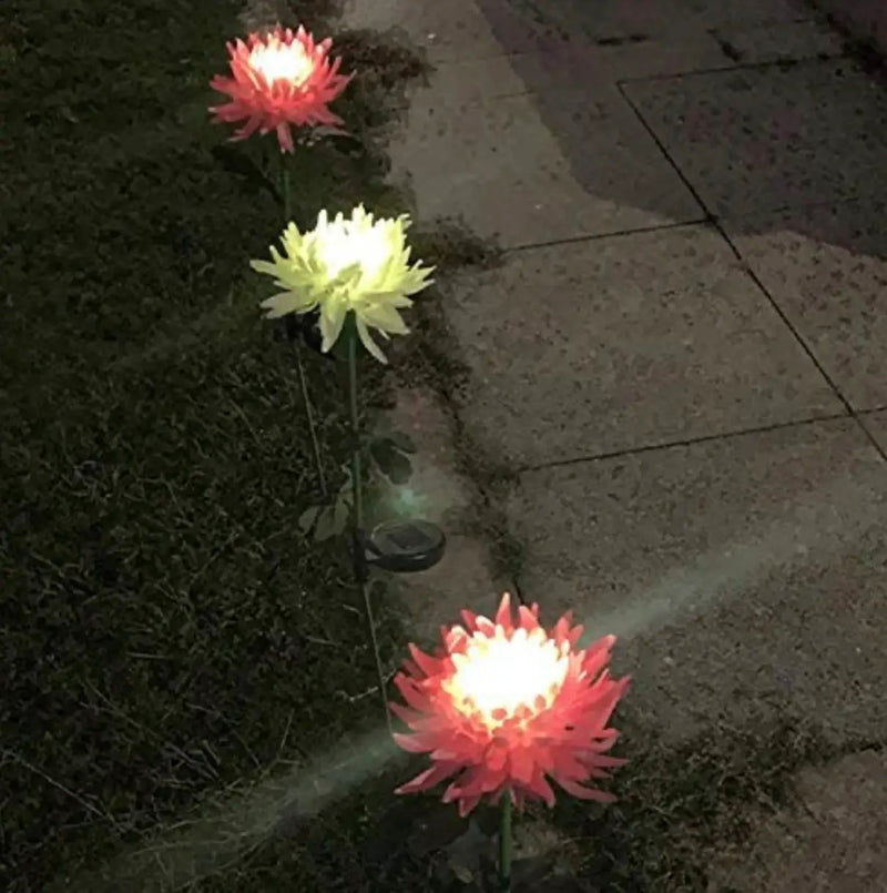 Solar LED Light Artificial Chrysanthemum Flower (3 Pack) by Outdoor Solar Outlet