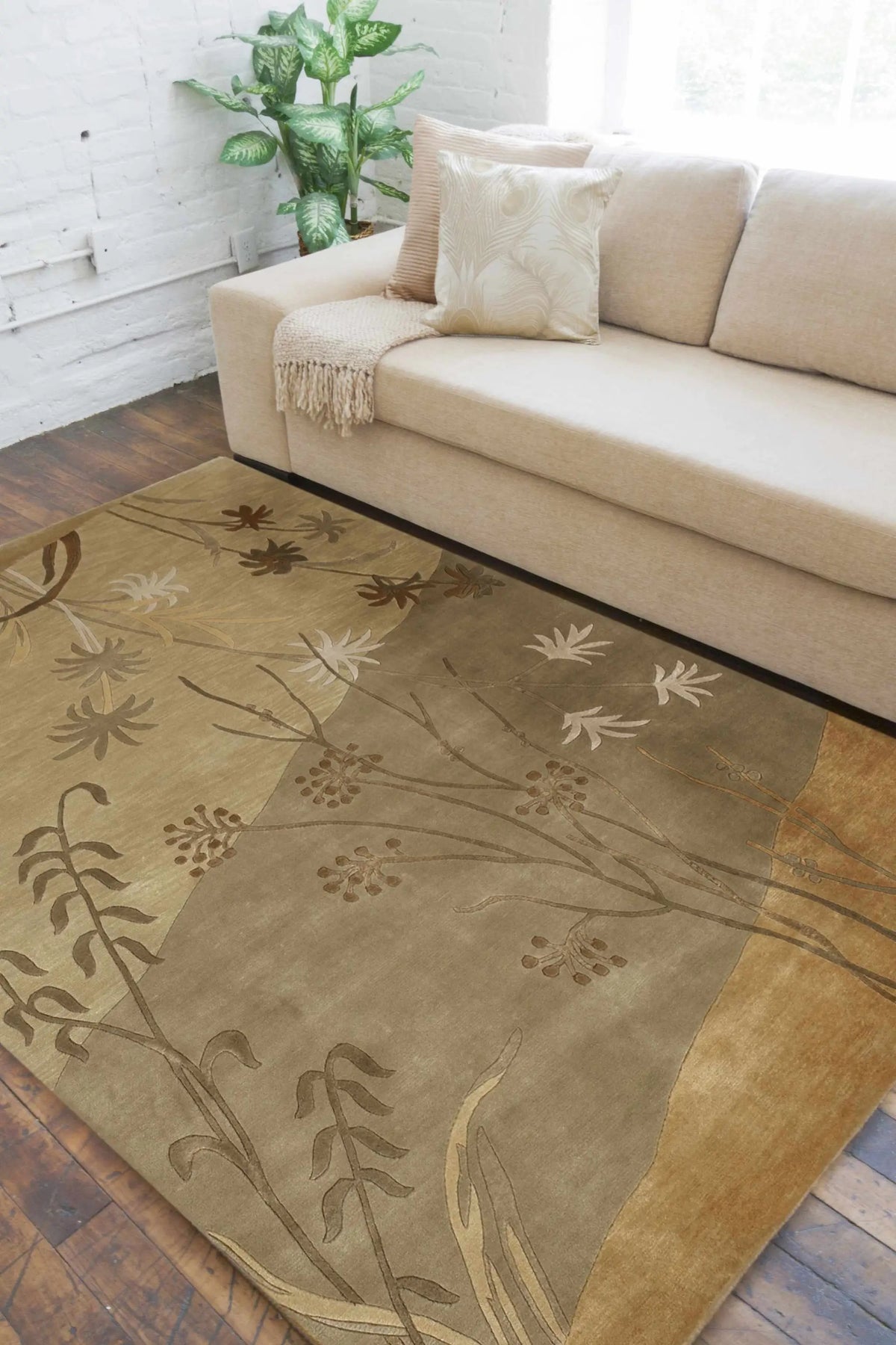Imlay Area Carpet - Clearance, installed in a room