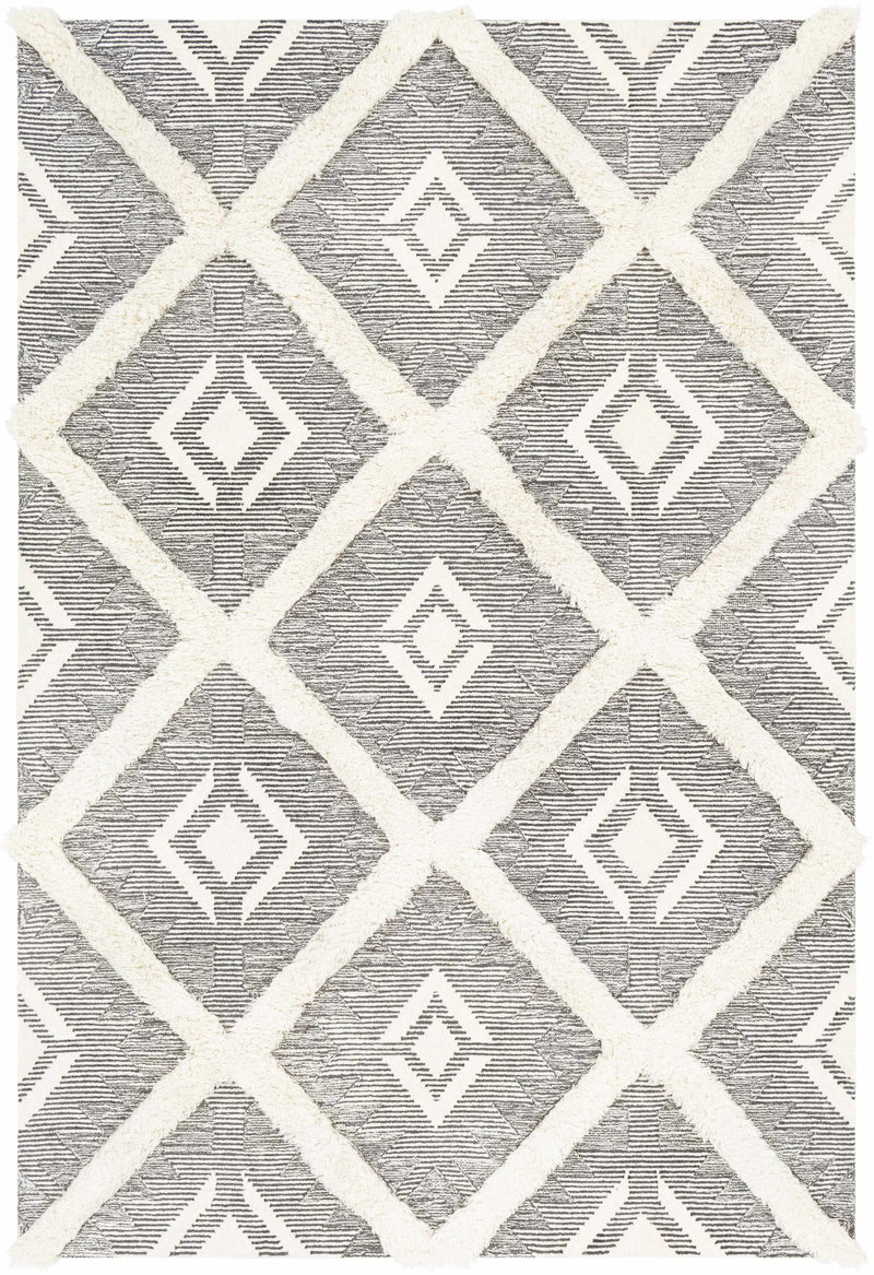 Imnaha Area Rug - Clearance by Boutique Rugs
