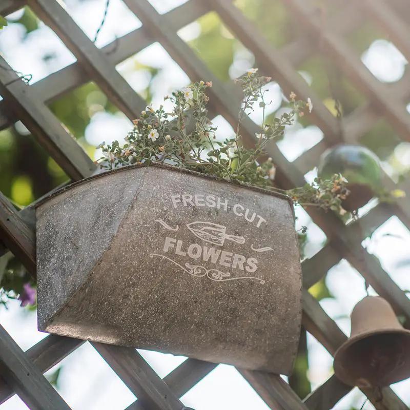 Iron Flower Wall Planter by RusticReach