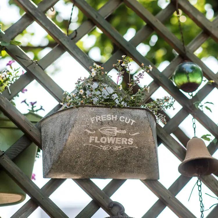 Iron Flower Wall Planter by RusticReach