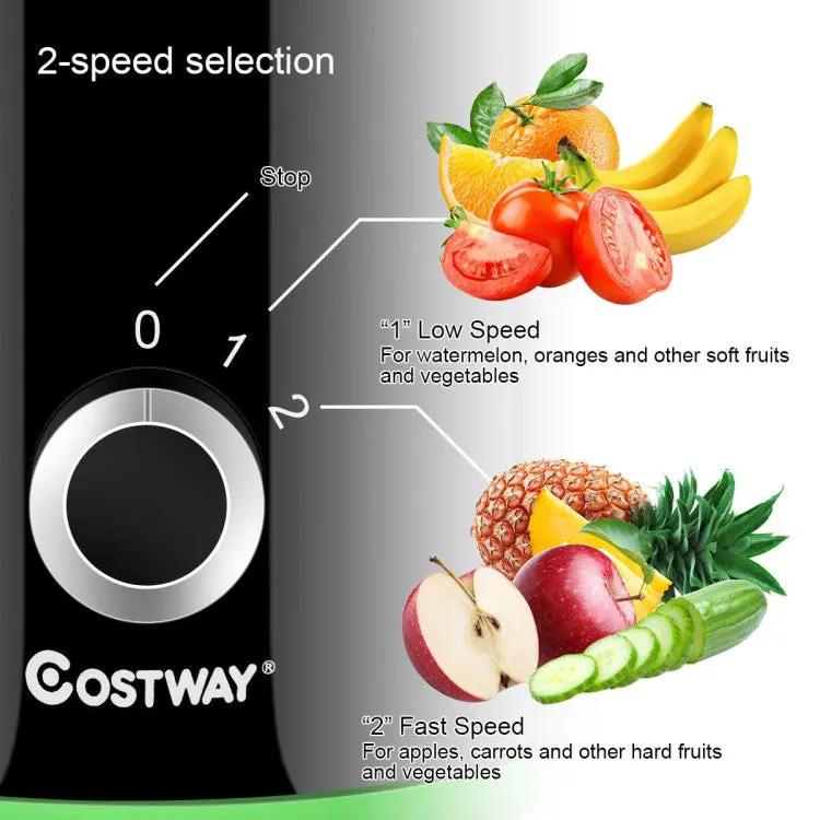 2 Speed Wide Mouth Fruit & Vegetable Electric Juicer by DirectDeals
