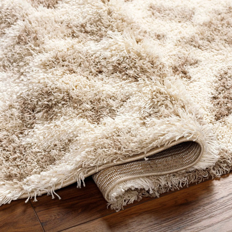 Jase Shag Area Rug by Boutique Rugs