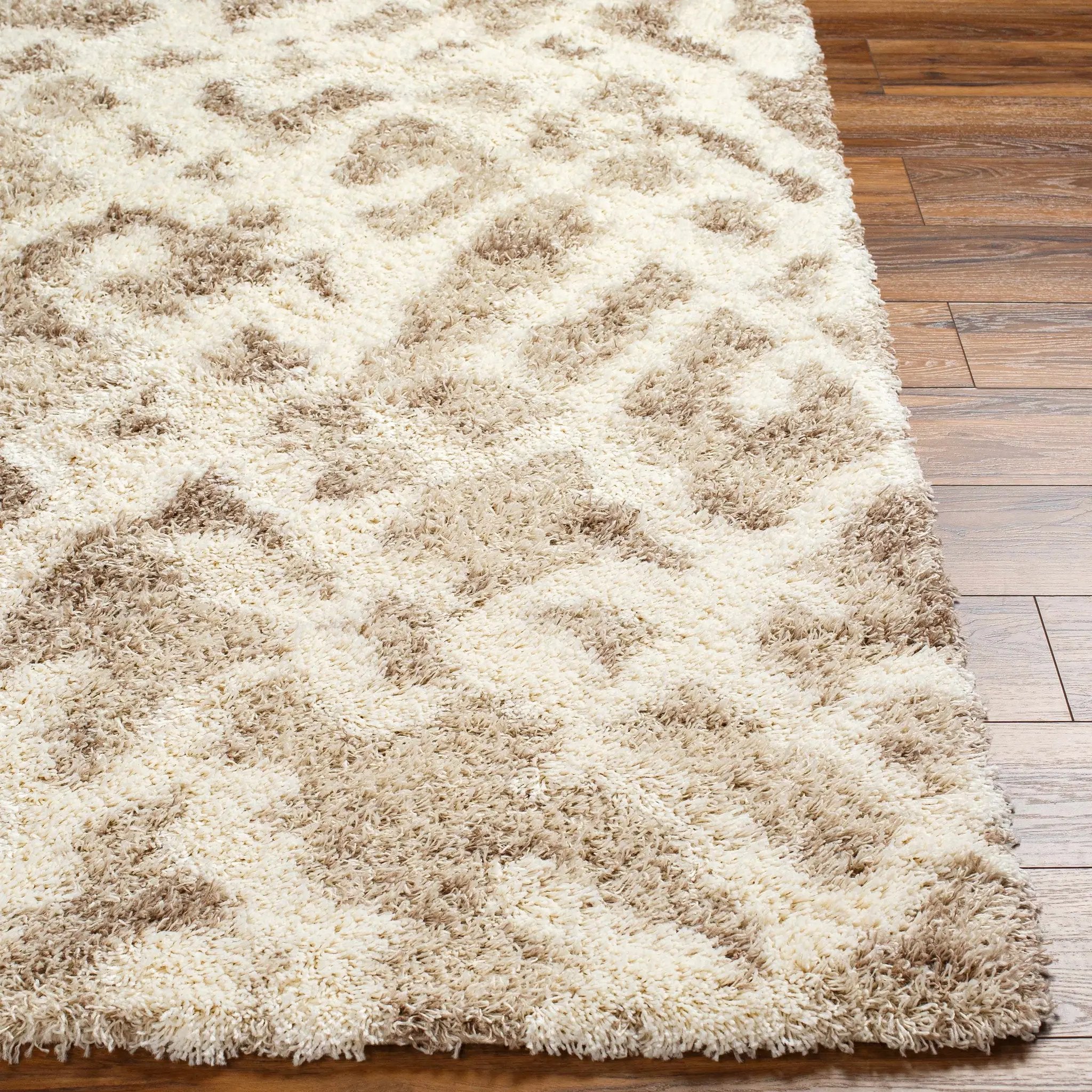 Jase Shag Area Rug by Boutique Rugs