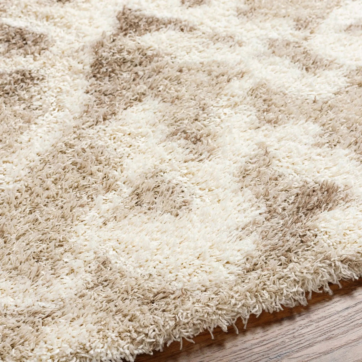Jase Shag Area Rug, photo 4 of 7