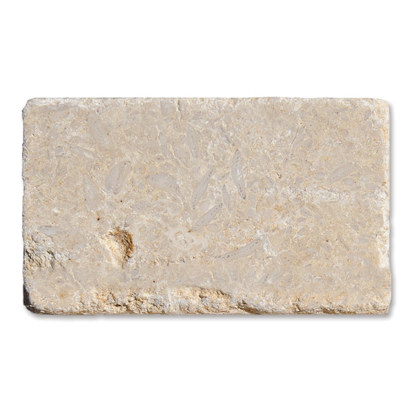 Jerusalem Tumbled Limestone Tiles 3x6